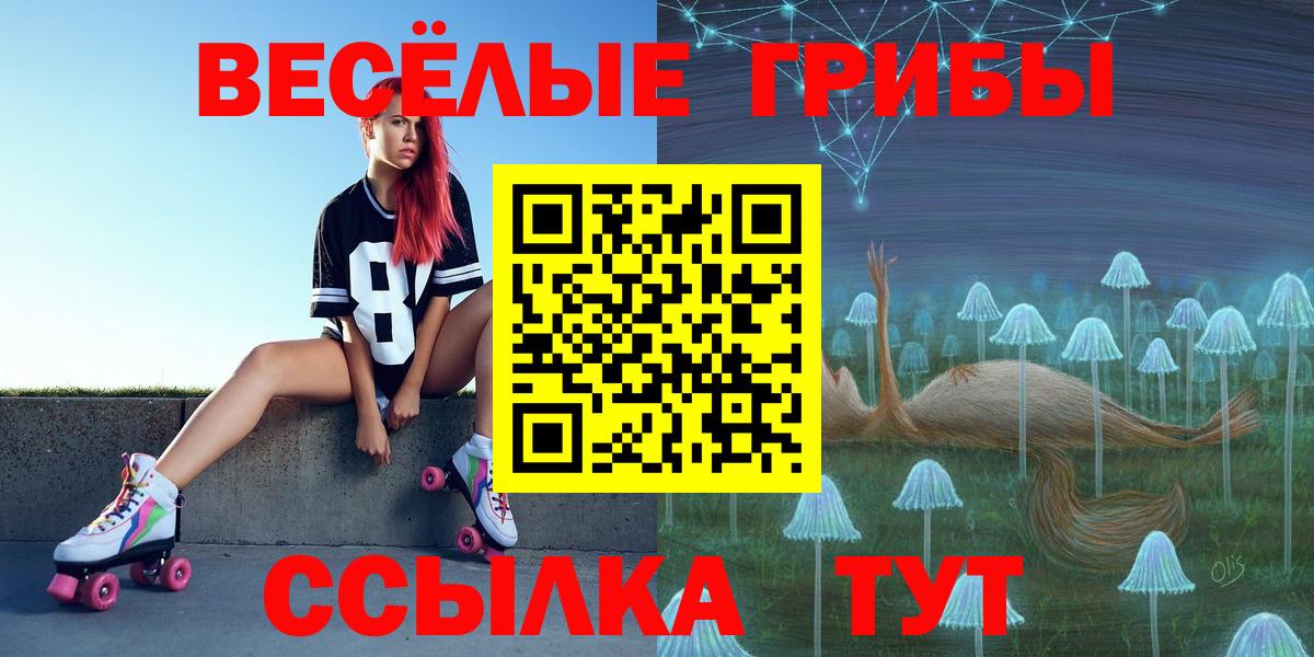 Псилоцибиновые грибы Psilocybe Первоуральск
