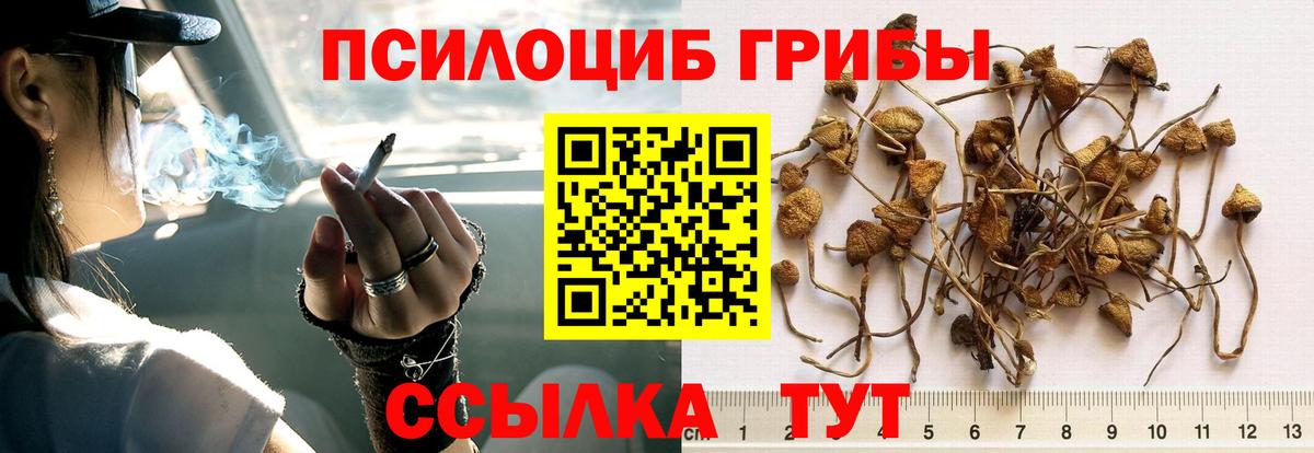 Первоуральск  НБОМе  МДМА  Кокаин  Вход с VPN  Бошки Шишки  ГАШ  Меф МЯУ МЯУ  